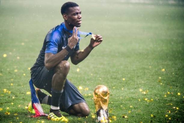 弗戈队的出 弗戈队的出