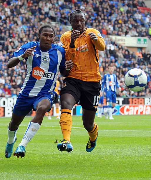 波兰在电子 波兰在电子